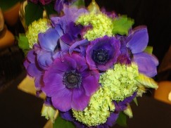 Purple and Green Flowers